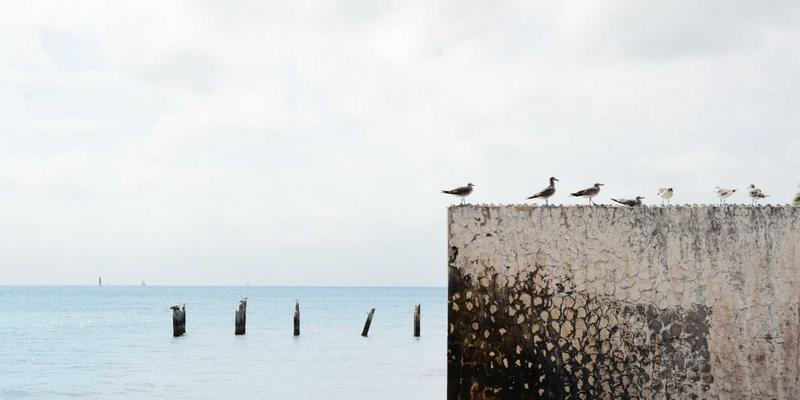 PPE安全防护用品全攻略：从正确选配到高效培训，筑牢环境安全防线