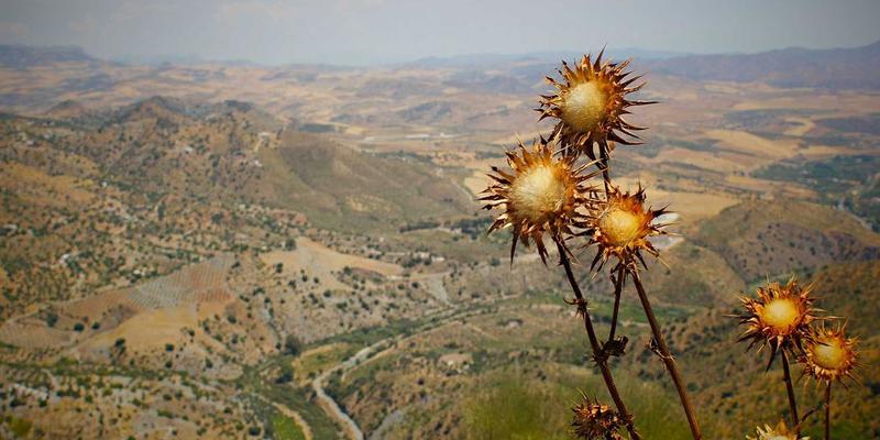 安全防护用品66:构建全面PPE体系,融合安全培训与EHS咨询的卓越实践