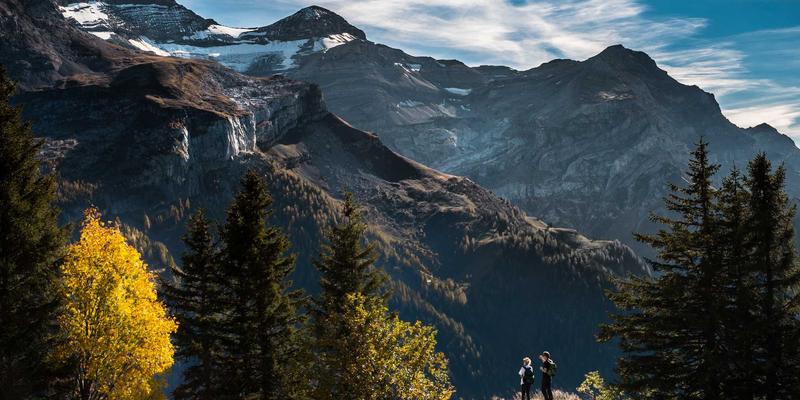安全防护用品68：从个人防护装备到安全培训的全面防护体系