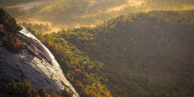 安全防护用品：构筑环境安全与职业健康的双重防线