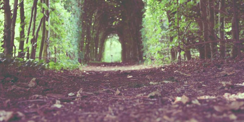 建筑工地安全帽等级标准与正确佩戴方法详解：安全管理与个人防护装备的核心要点