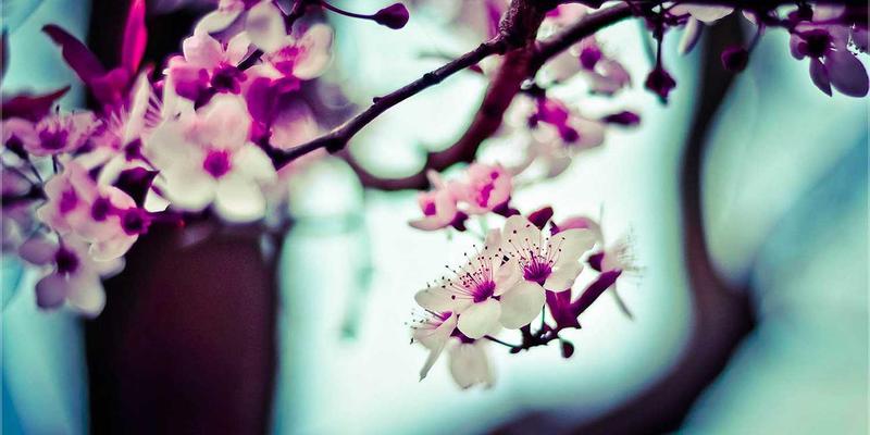 有限空间作业呼吸防护：SCBA与长管呼吸器的适用场景与EHS管理要点