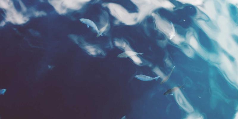 构建安全防线：石油化工行业防静电服与防爆设备协同防护体系