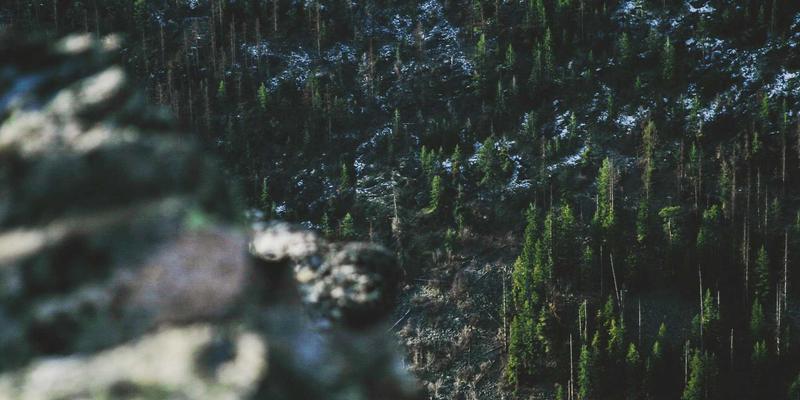 生物安全实验室BSL各级别个人防护装备差异与选用核心要点：EHS咨询视角下的职业健康保障