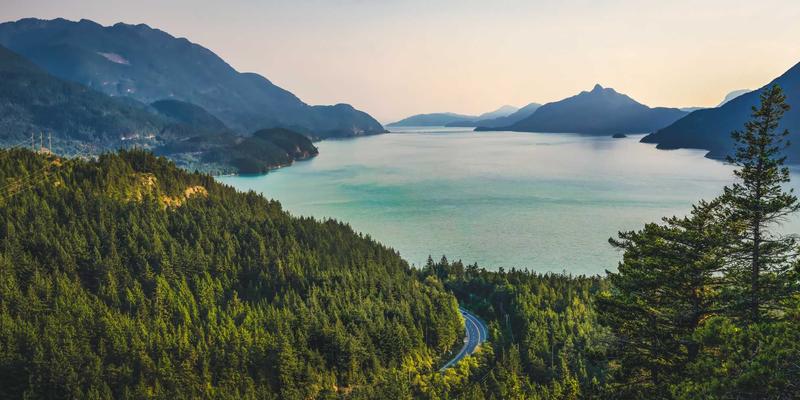 生物安全防护指南：医疗与实验室环境中个人防护装备的科学选择与规范使用