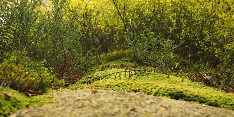 防静电服（ESD服装）的工作原理与应用场景：从电子制造到易燃易爆环境的安全防护